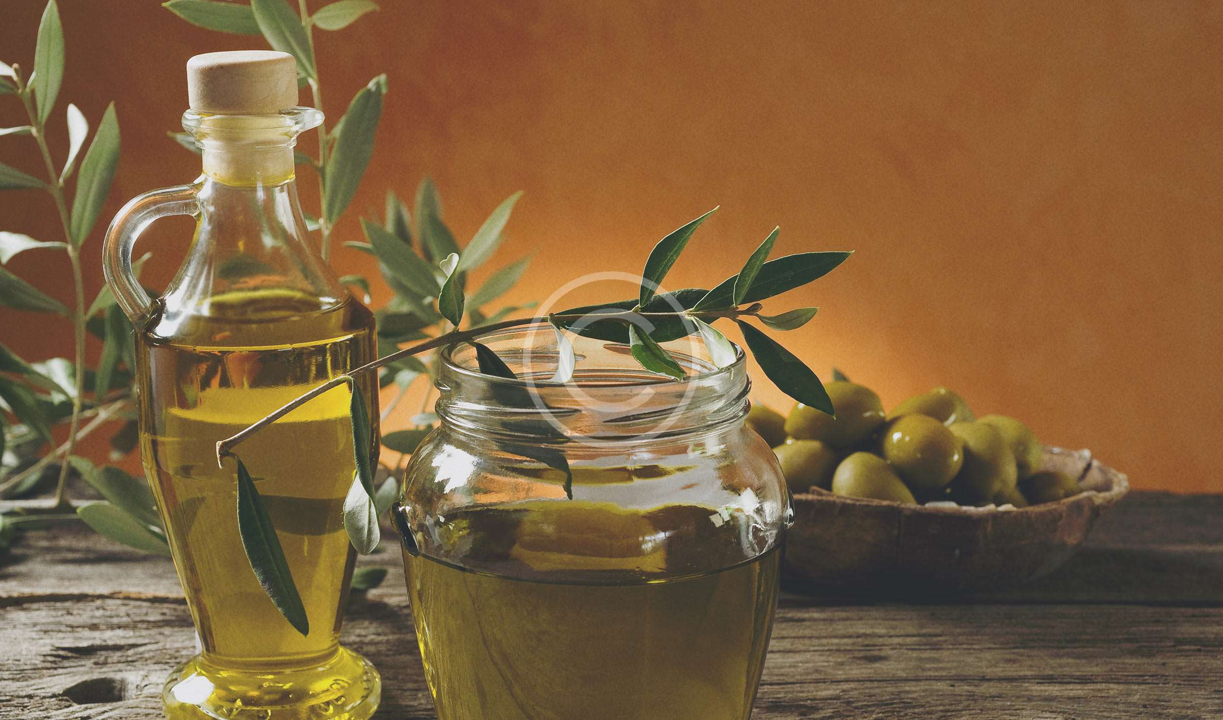 Raccolta delle Olive