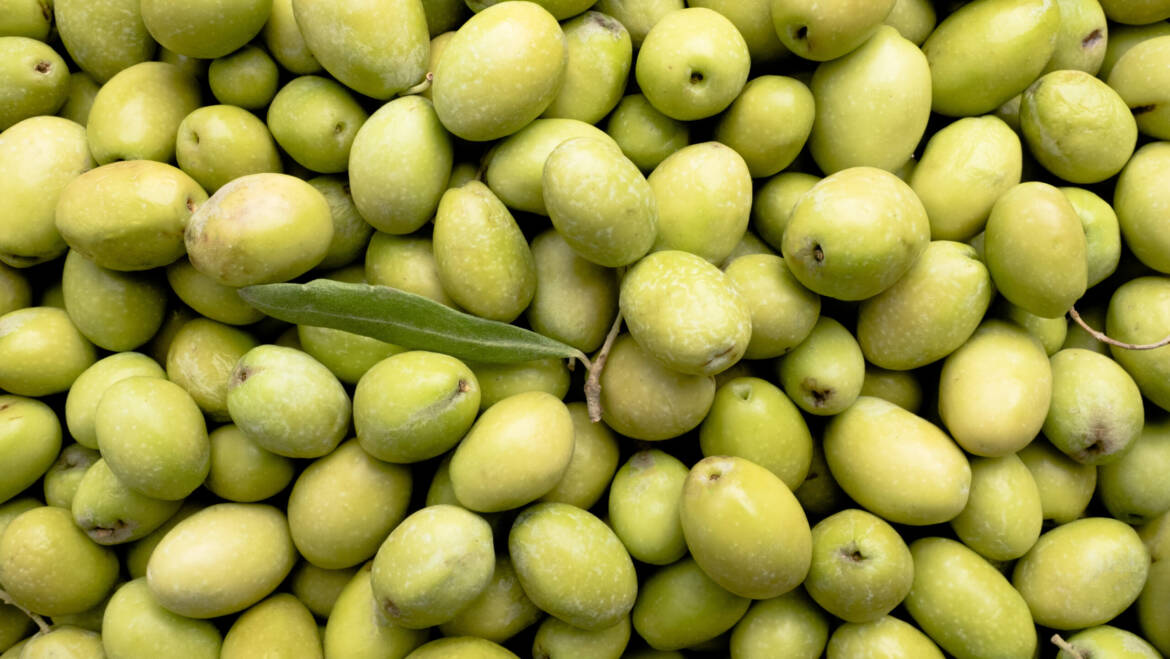Olio Novello: caratteristiche, proprietà e benefici
