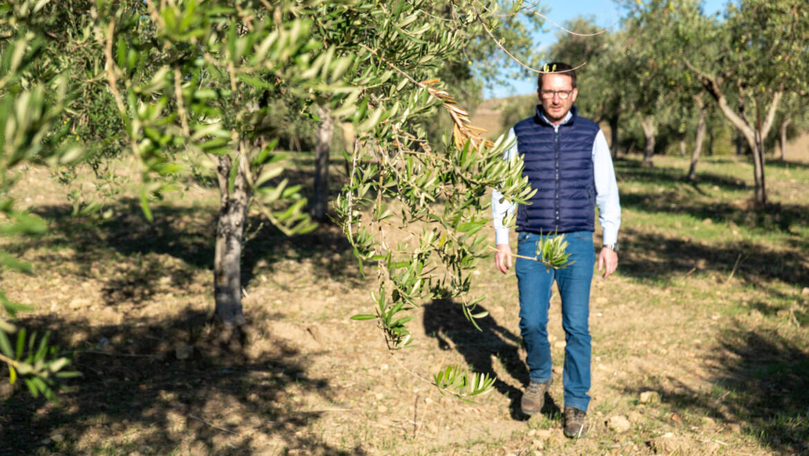 Ciniè Eccellenze Organolettiche: tra ulivi, passione e futuro sostenibile