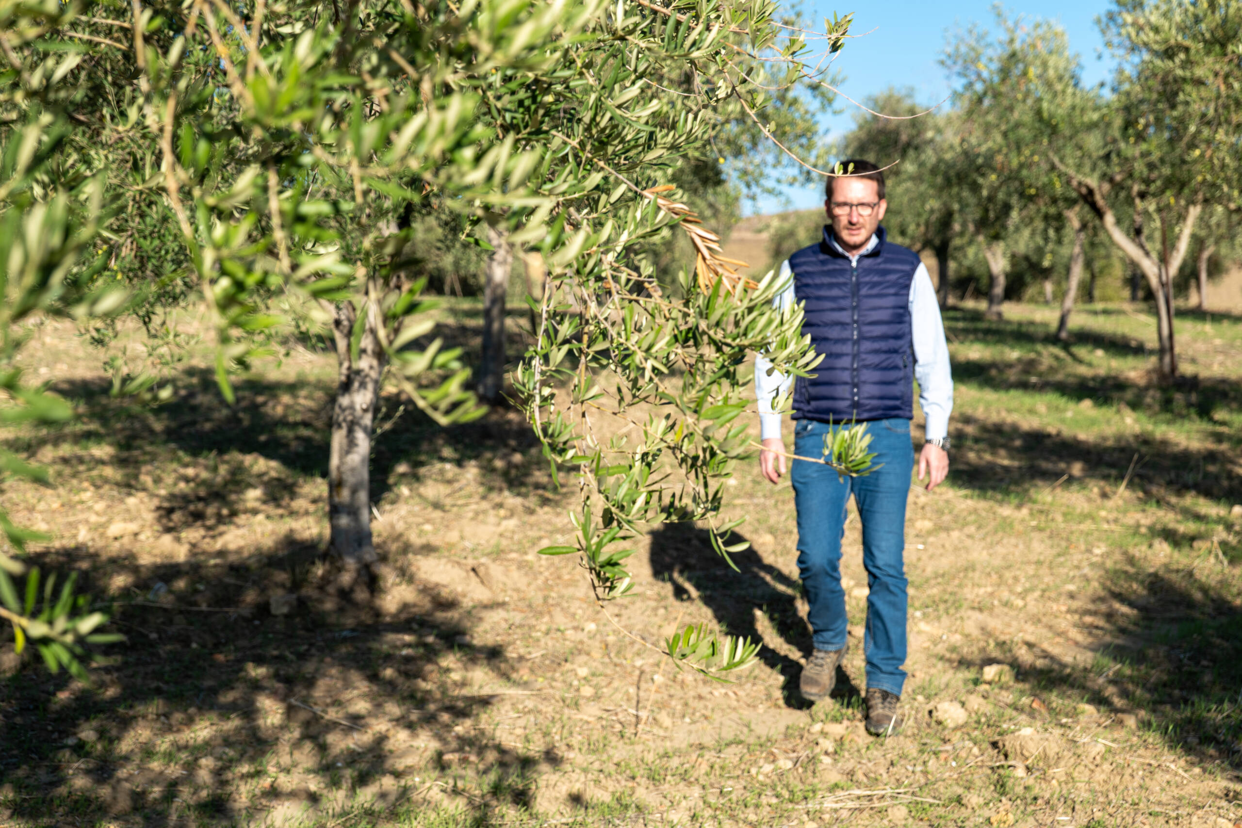 Ciniè Eccellenze Organolettiche: tra ulivi, passione e futuro sostenibile