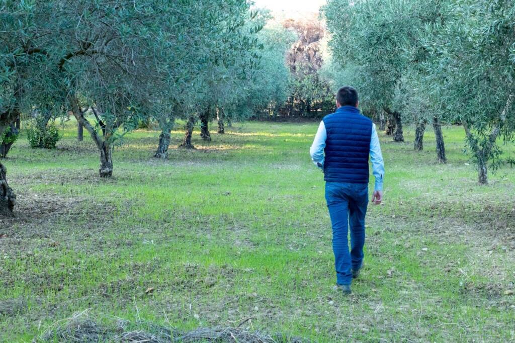 olio extravergine d'oliv di qualità
